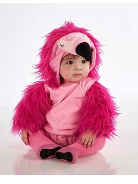 Pottery barn kids pink flamingo Halloween costume 0-6 months